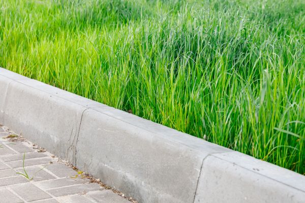 Curb Removal