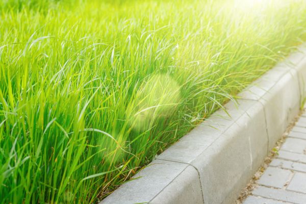 Concrete Edging